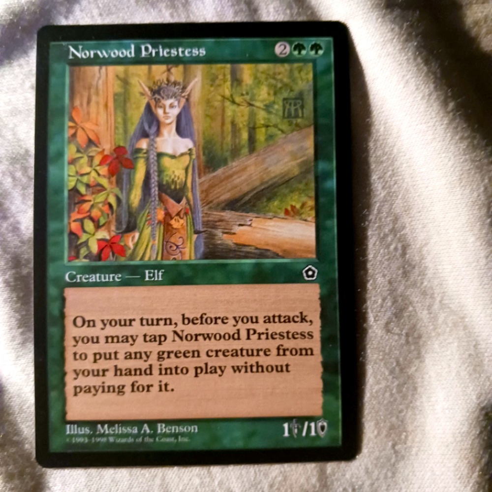 Magic the gathering card